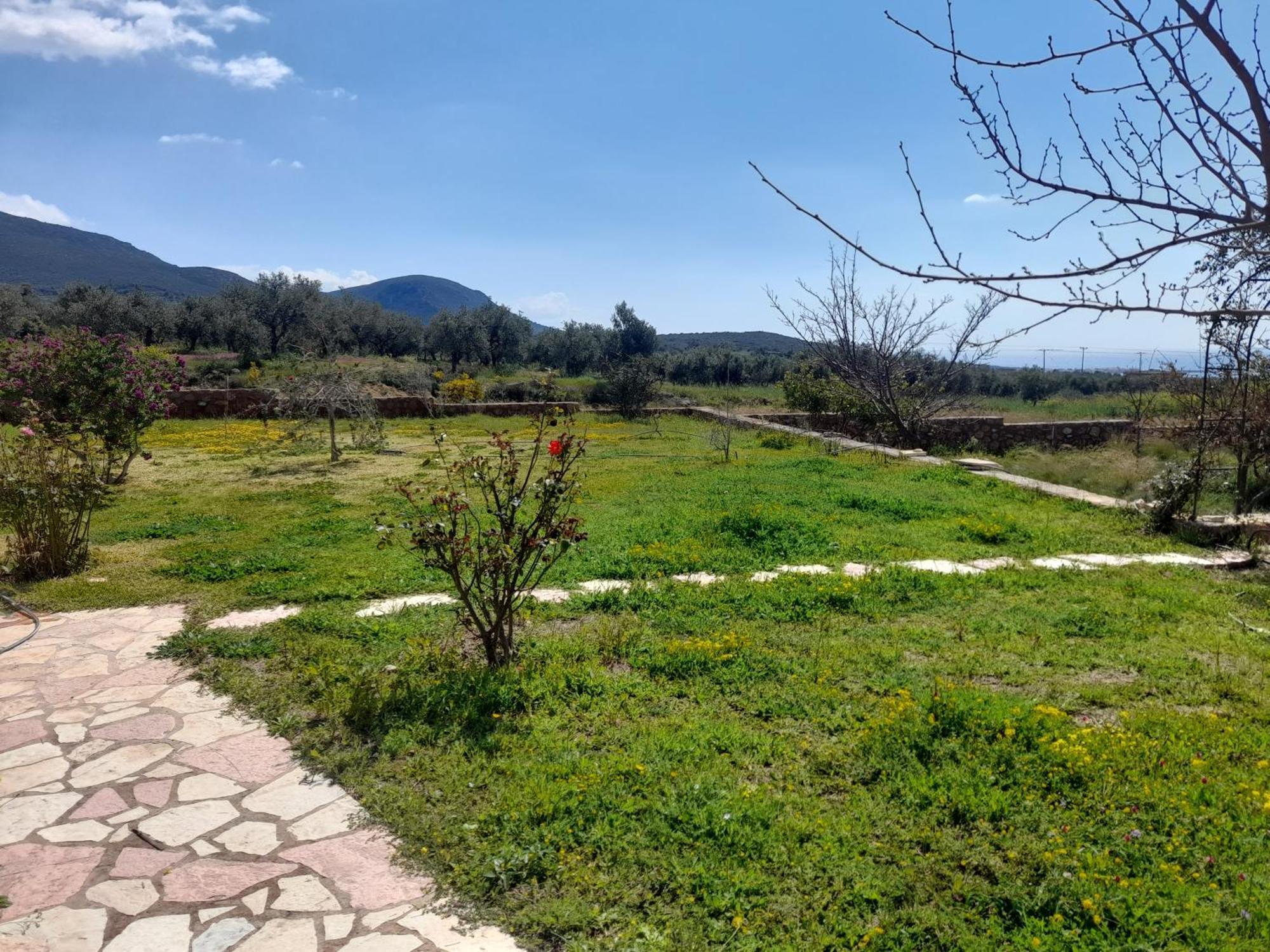 “Villa Othon-Leni” Paralia Demonias 외부 사진